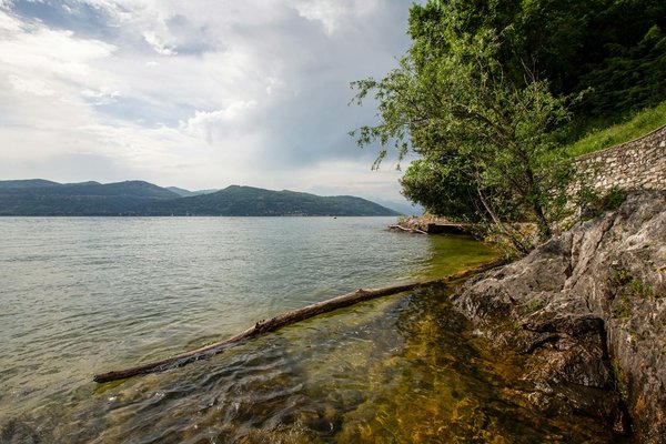 Welche Rolle spielt der Schutz der Tierwelt im De-Tourismus?